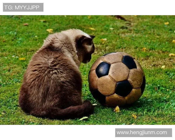 足球明星与他们的专属动物究竟有何独特联系揭秘之谜